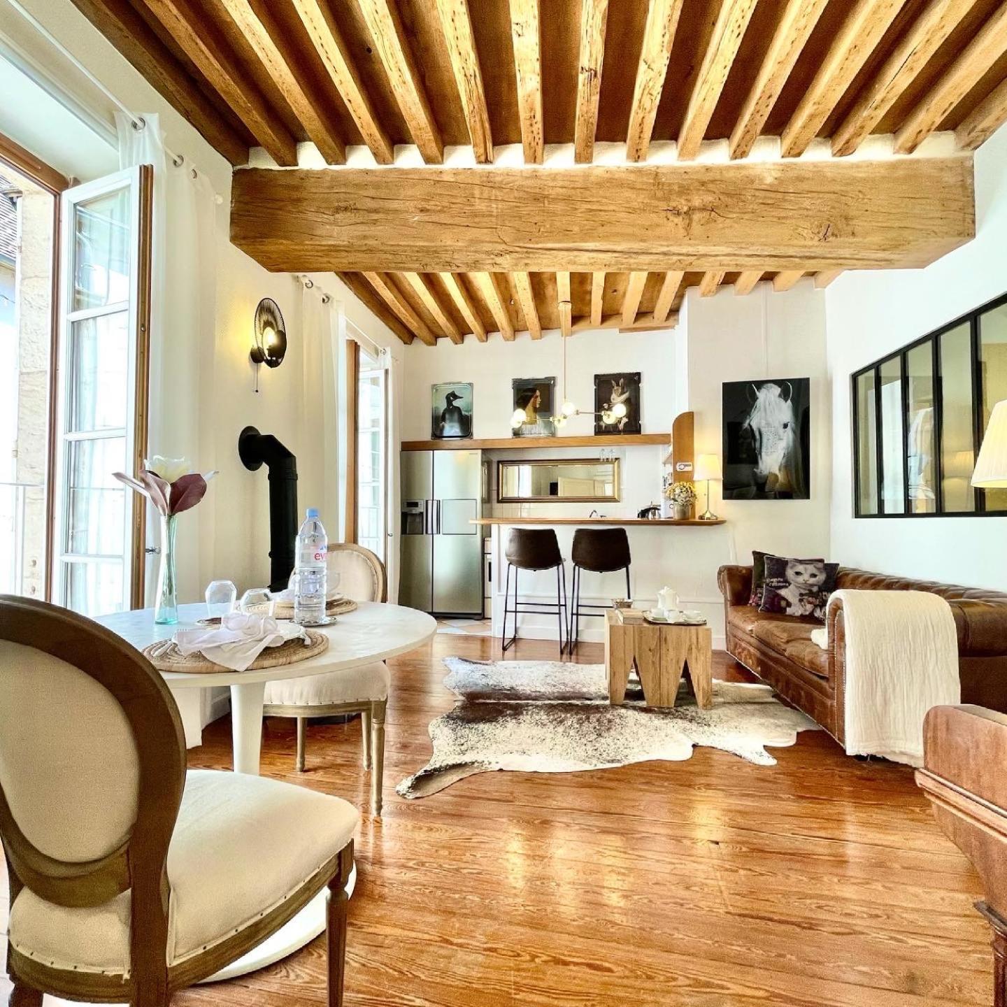 Grand Cru, Appartement Au Centre Medieval De Beaune Beaune  Ngoại thất bức ảnh